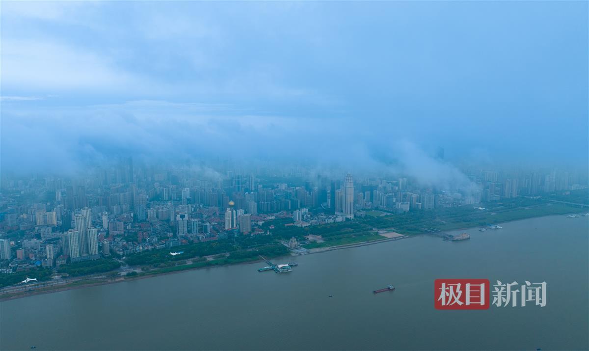 网络尾号夺宝